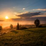 dawid-zawila--G3rw6Y02D0-unsplash