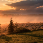 sonne2020-07-28 105917